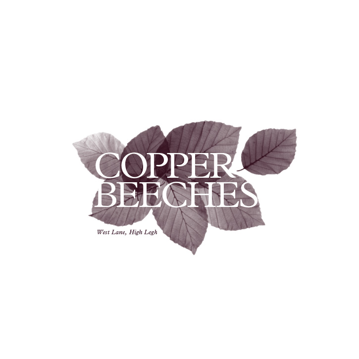 Copper Beeches, High Legh